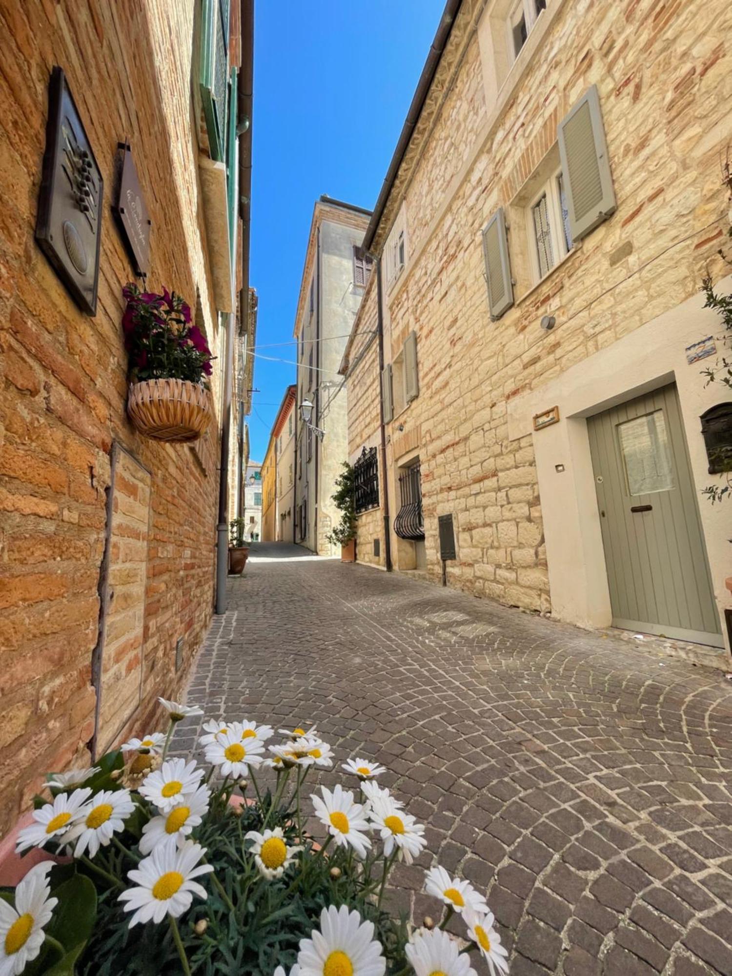 La Conchiglia - Apartment