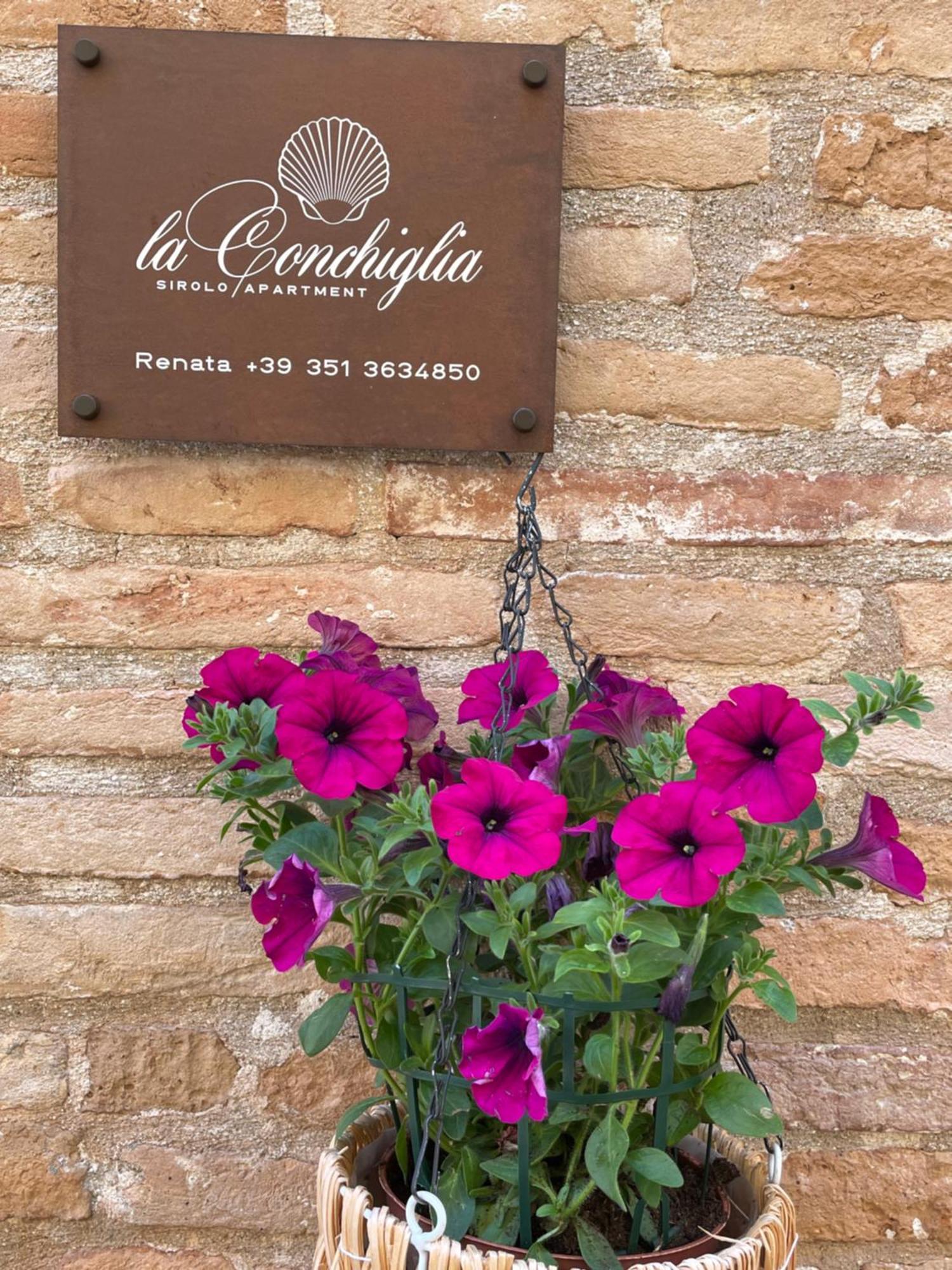 La Conchiglia - * Sirolo